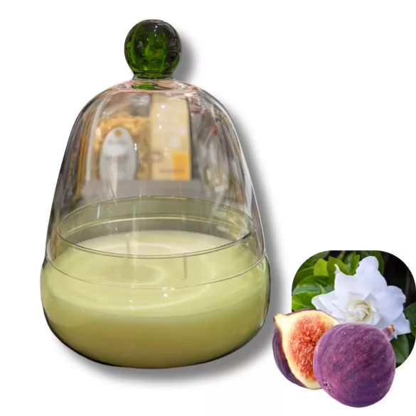 EDG FIG & GARDENA ILLATGYERTYA 40H