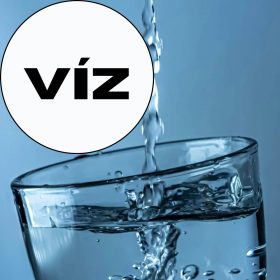 Vizek